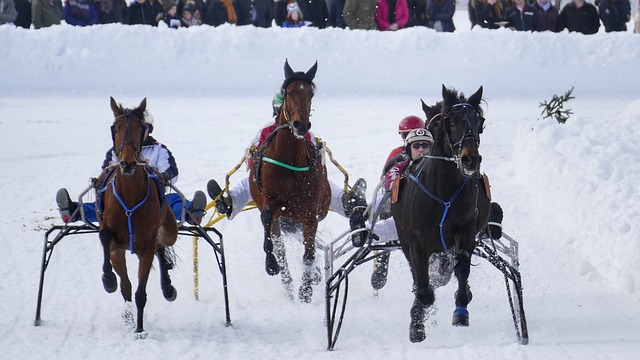 精彩比赛 精彩比赛