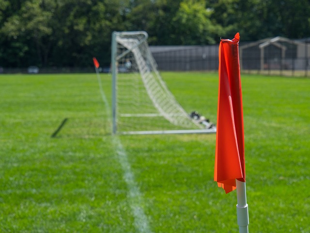 内的竞争 内的竞争