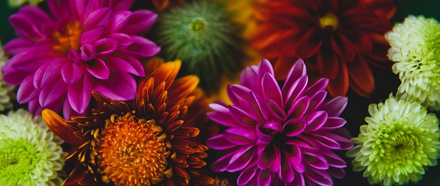 史上最伟大 史上最伟大