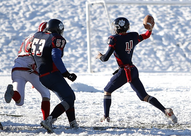 导致的出场 导致的出场
