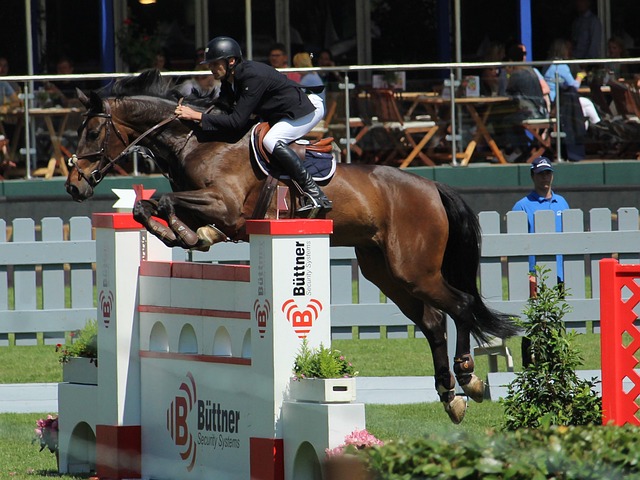 山東泰山俱 山東泰山俱