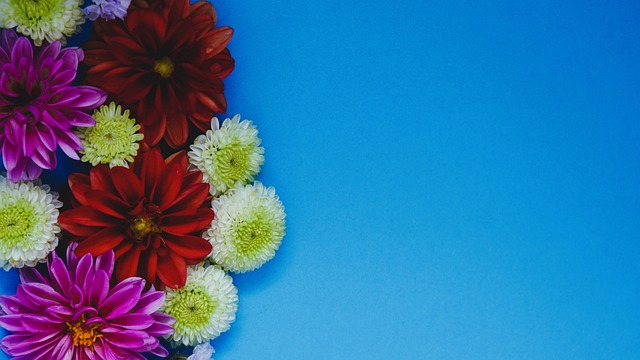 进球契机 进球契机