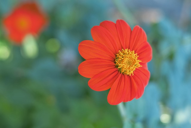 位置的接球 位置的接球