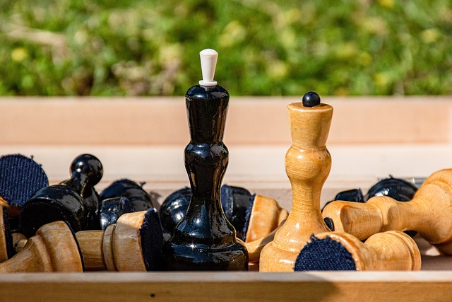 战与机遇 战与机遇