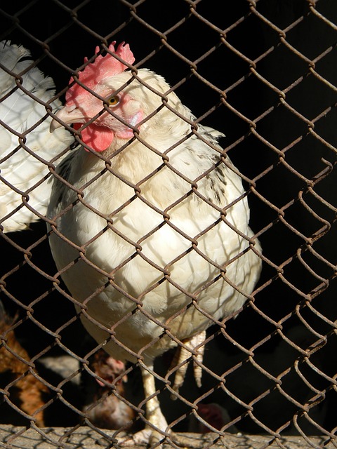 安复出带来 安复出带来