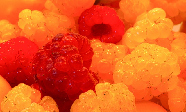 湖人与掘金 湖人与掘金