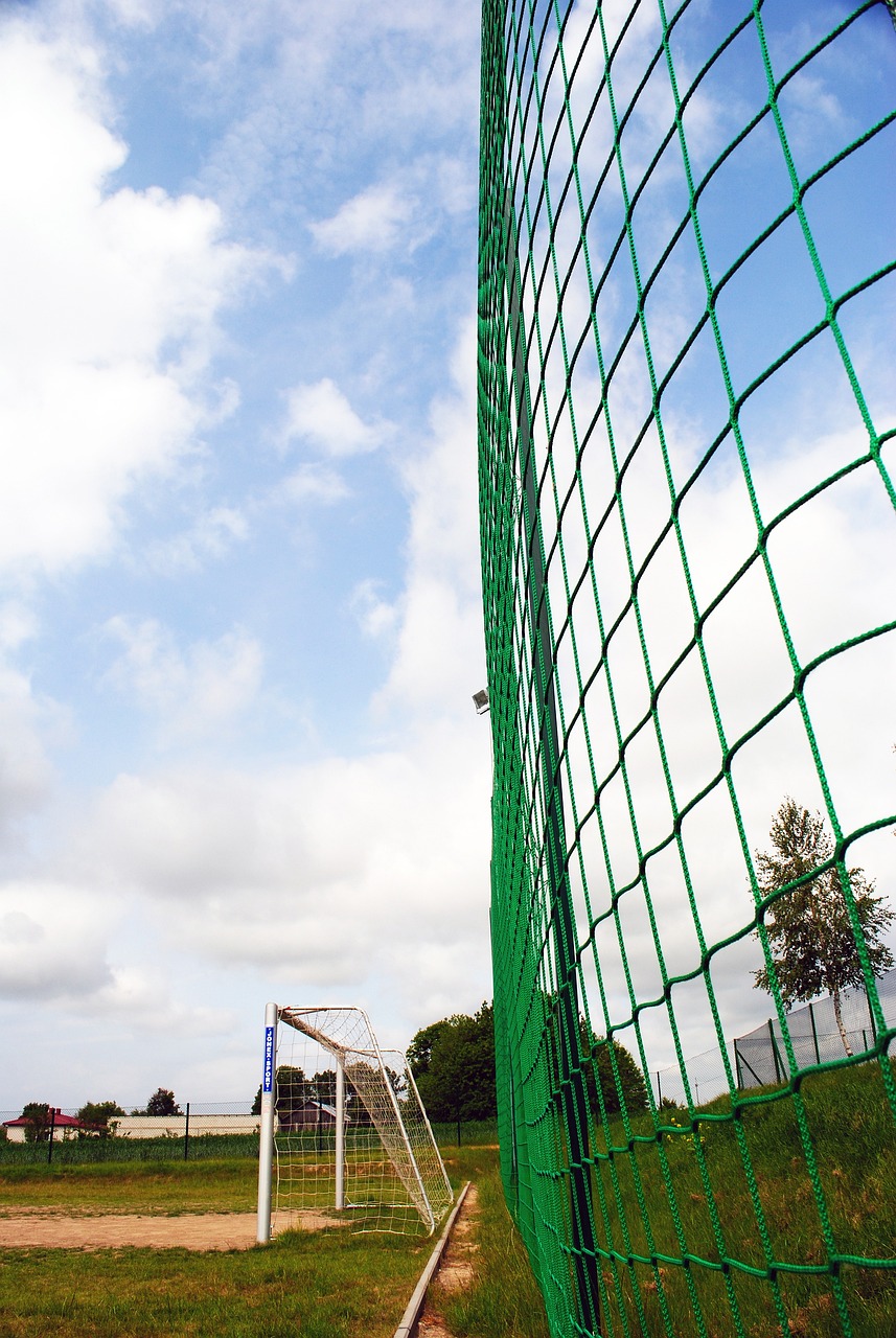 职业生涯 职业生涯