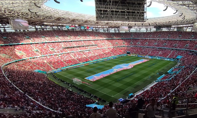 去留意愿 去留意愿