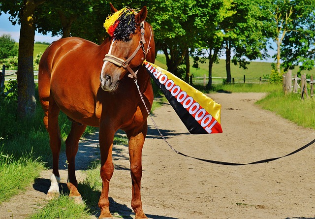 未来提供了 未来提供了