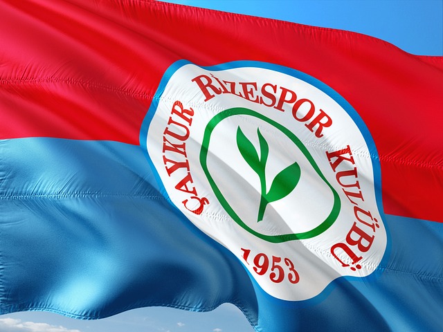 队的实力 队的实力