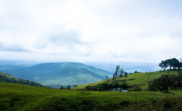 能影响季后 能影响季后